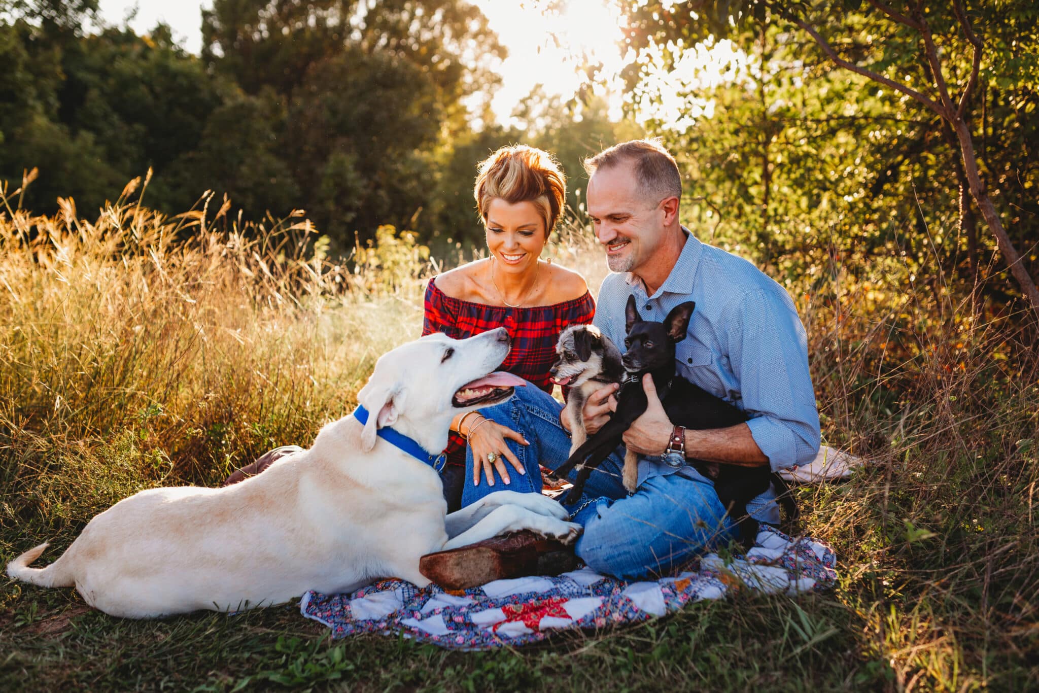 couple with dogs in a field at sunset