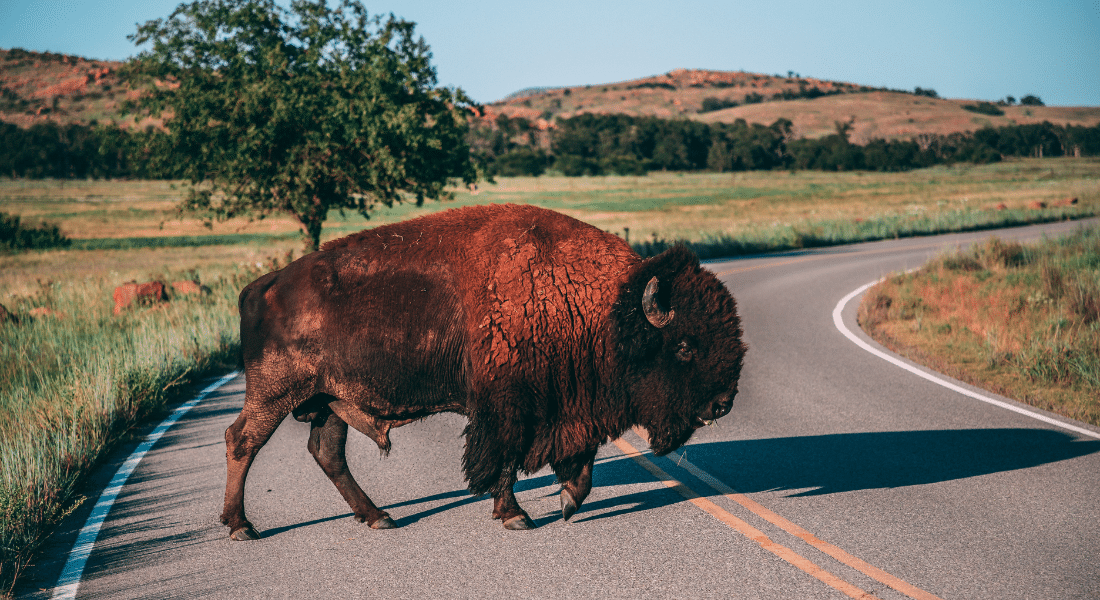 best activities in broken bow